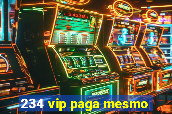 234 vip paga mesmo