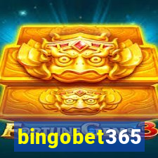 bingobet365