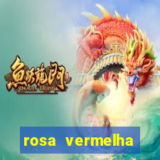 rosa vermelha (letra e cifra)