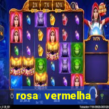 rosa vermelha (letra e cifra)