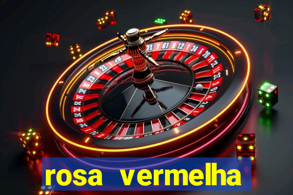 rosa vermelha (letra e cifra)