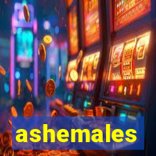 ashemales