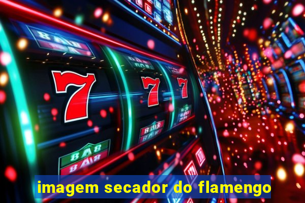 imagem secador do flamengo