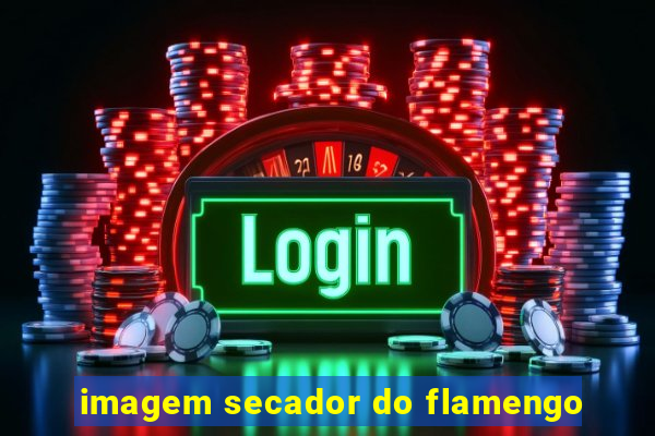 imagem secador do flamengo