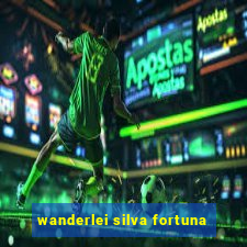 wanderlei silva fortuna