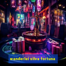 wanderlei silva fortuna