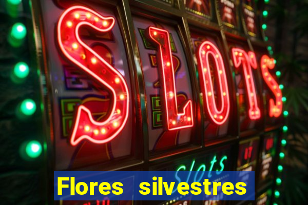 Flores silvestres brasileiras 25