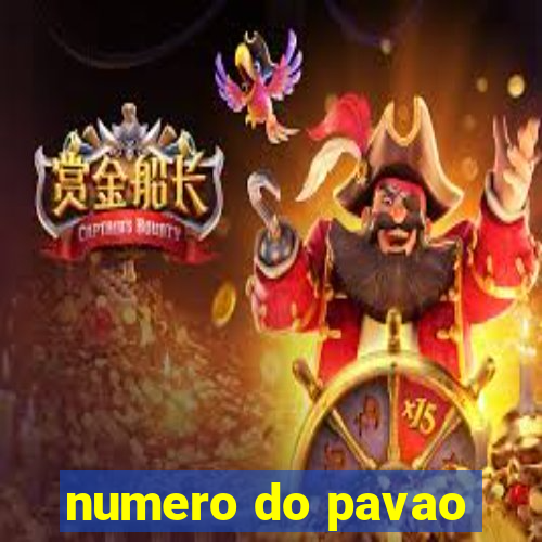 numero do pavao