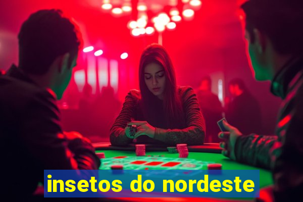 insetos do nordeste