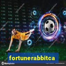 fortunerabbitcasino.online