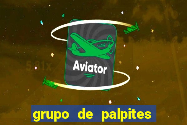 grupo de palpites de futebol whatsapp