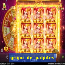 grupo de palpites de futebol whatsapp