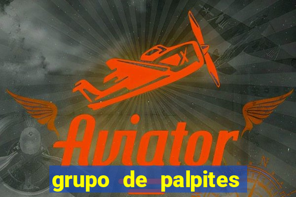 grupo de palpites de futebol whatsapp