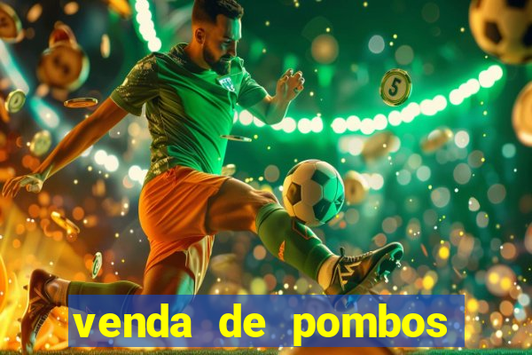 venda de pombos correios olx