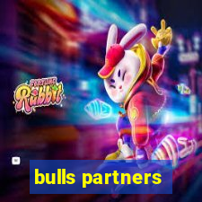 bulls partners