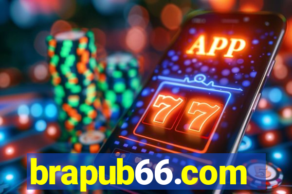 brapub66.com