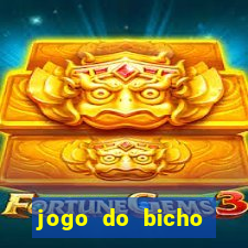 jogo do bicho feira de santana