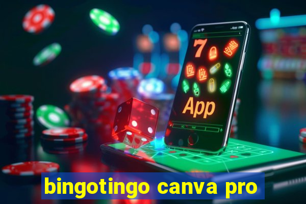 bingotingo canva pro