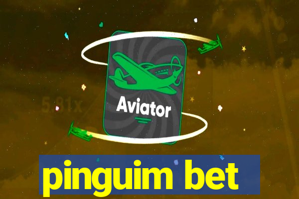 pinguim bet