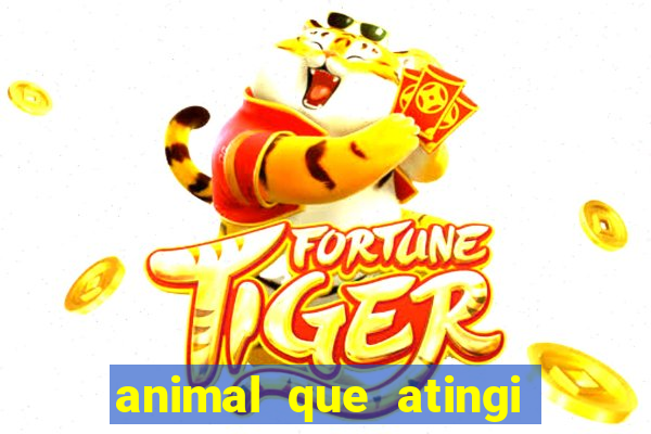 animal que atingi 230 decibeis