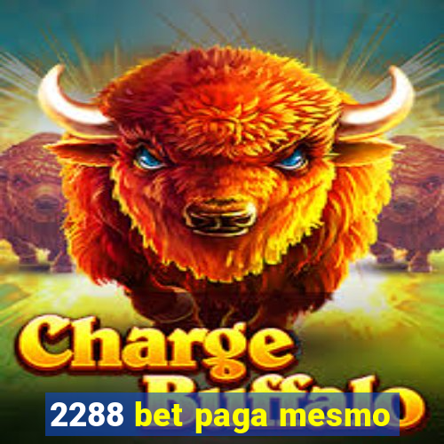 2288 bet paga mesmo