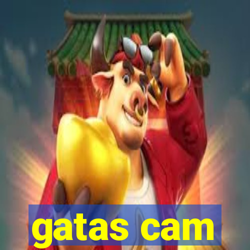 gatas cam