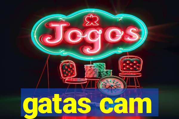 gatas cam