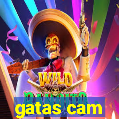 gatas cam