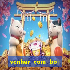 sonhar com boi branco jogo do bicho