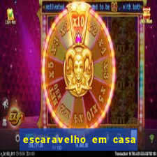 escaravelho em casa significado espiritual