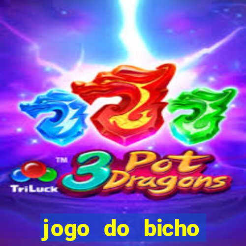 jogo do bicho tipos de apostas