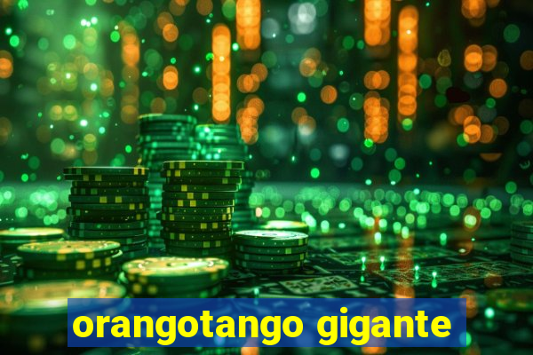 orangotango gigante