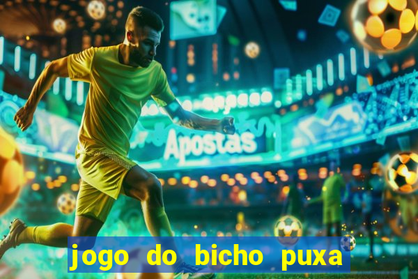 jogo do bicho puxa de dona maria