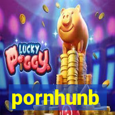 pornhunb