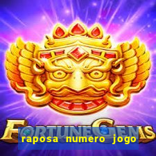 raposa numero jogo do bicho