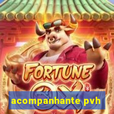 acompanhante pvh