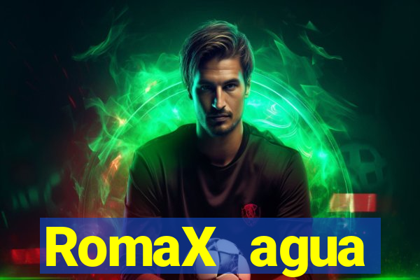 RomaX agua sanitaria fispq agua sanitaria romax