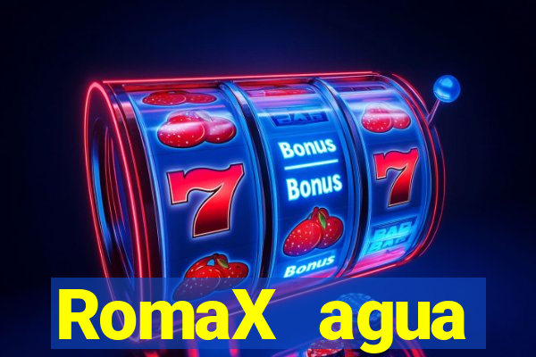 RomaX agua sanitaria fispq agua sanitaria romax