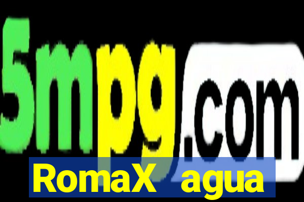 RomaX agua sanitaria fispq agua sanitaria romax