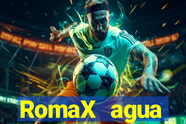 RomaX agua sanitaria fispq agua sanitaria romax