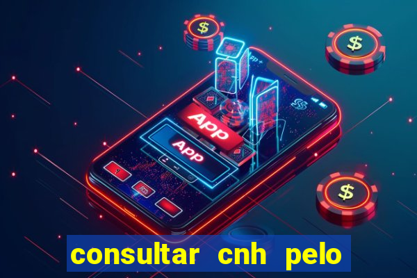 consultar cnh pelo cpf sp