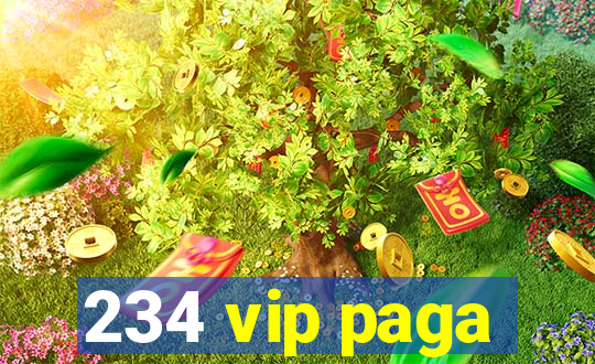 234 vip paga