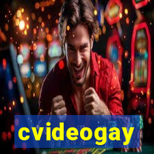 cvideogay