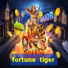 fortune tiger source code