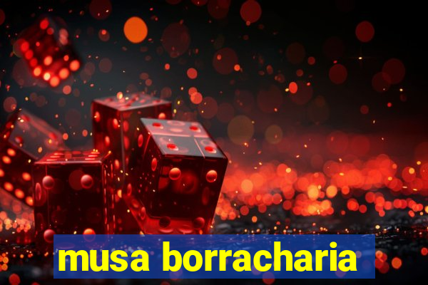 musa borracharia