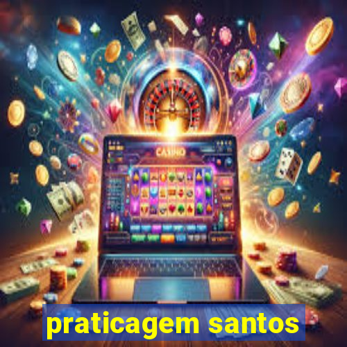 praticagem santos