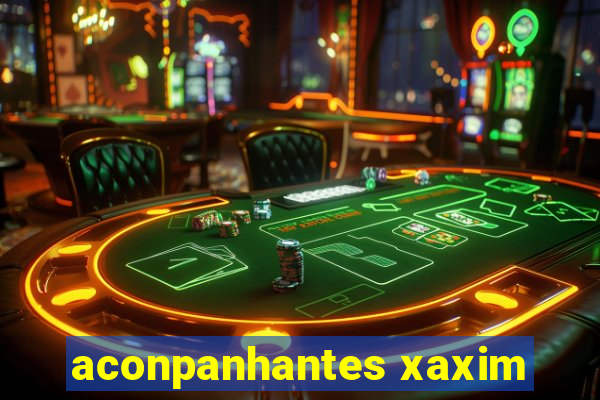 aconpanhantes xaxim