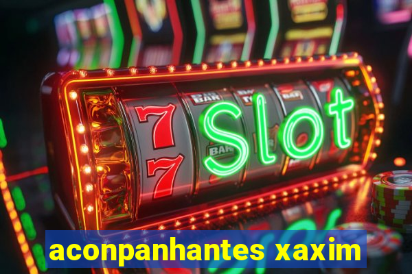 aconpanhantes xaxim