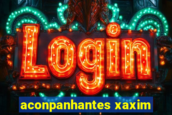 aconpanhantes xaxim