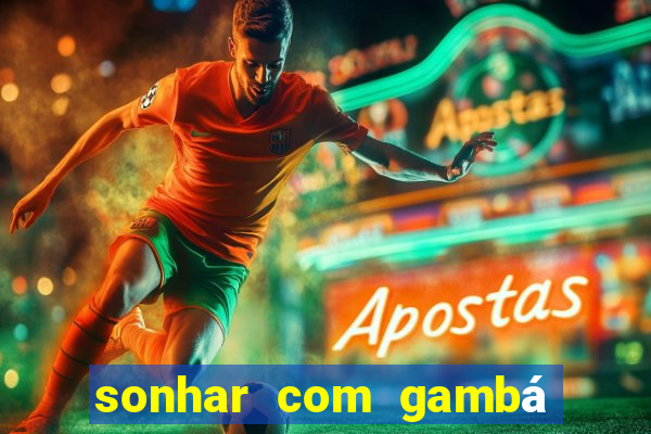 sonhar com gambá jogo do bicho